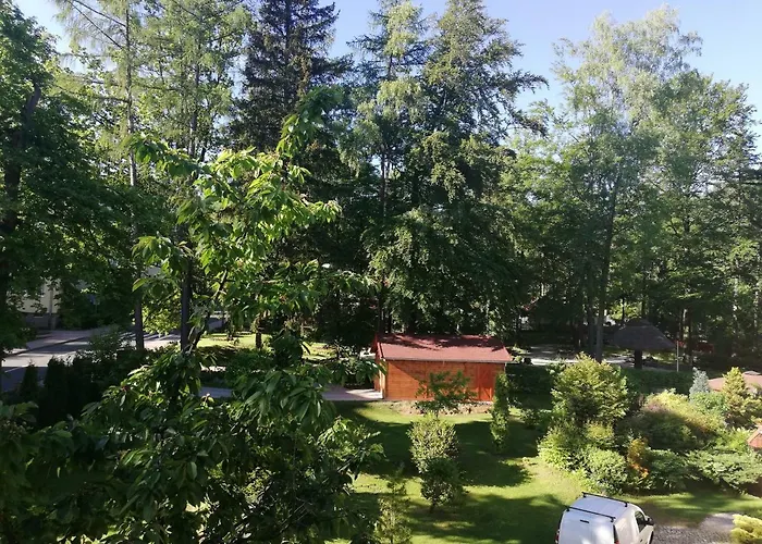 Wisienka アパート カルパッチ